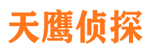 铁锋侦探公司